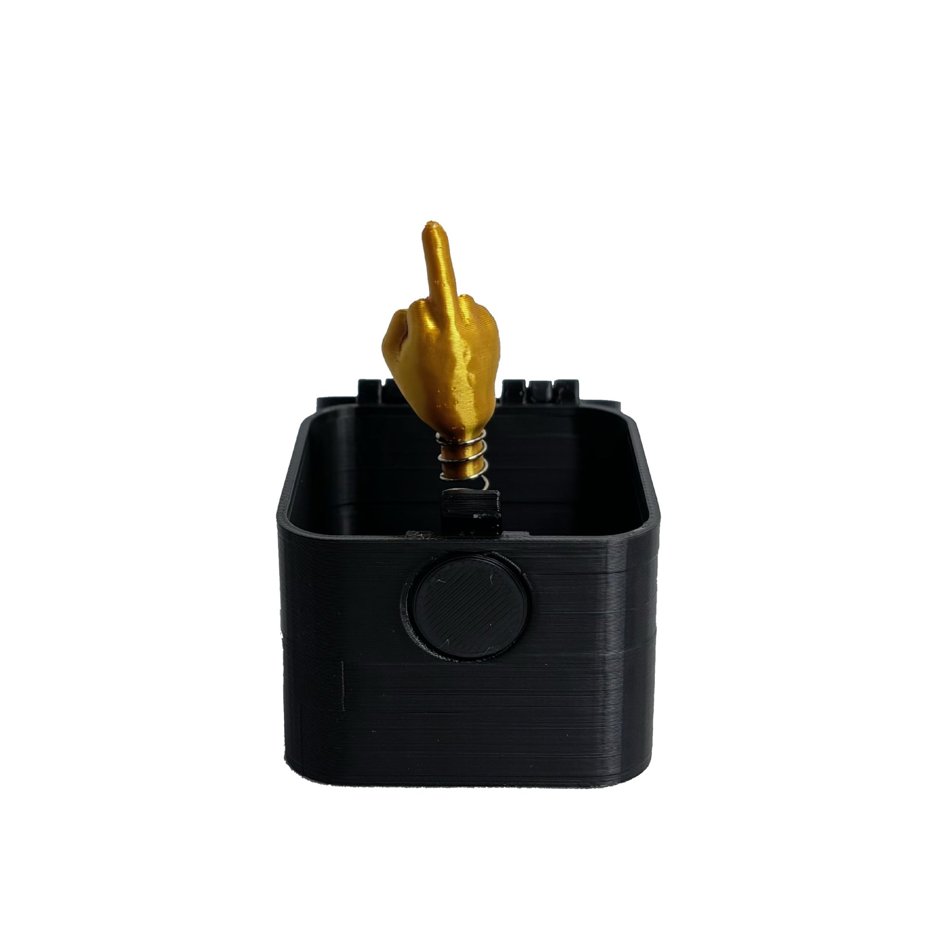 Middle Finger in a Box Gift