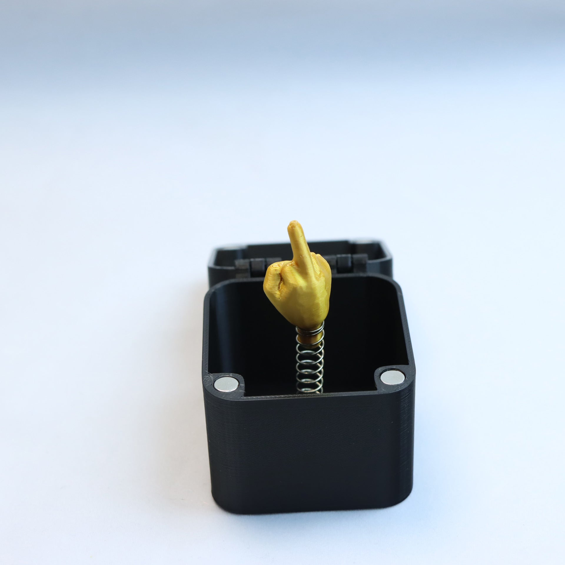 Middle Finger in a Box Gift